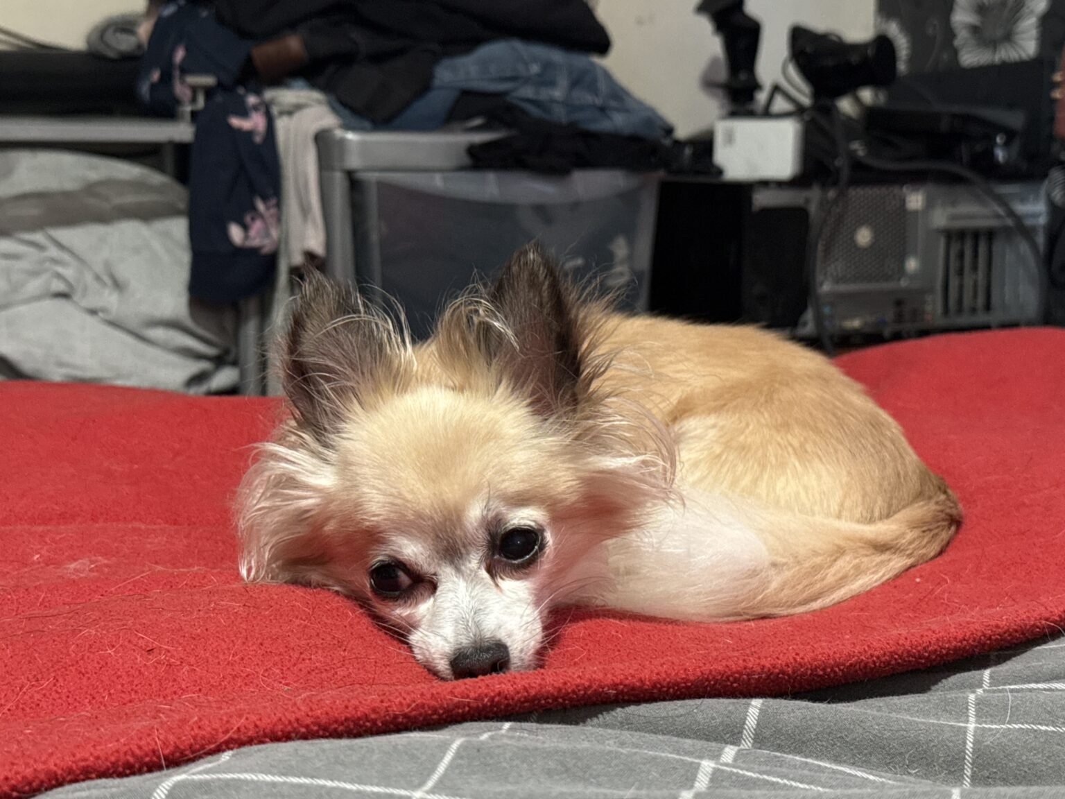 My supervisor - Always watching