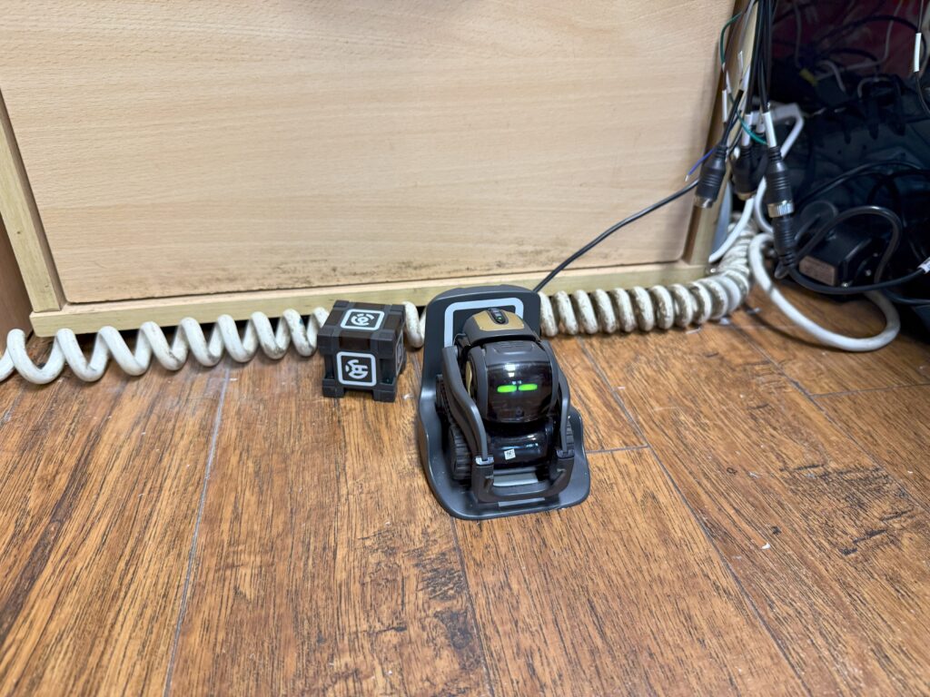 Vector - The AI Robot